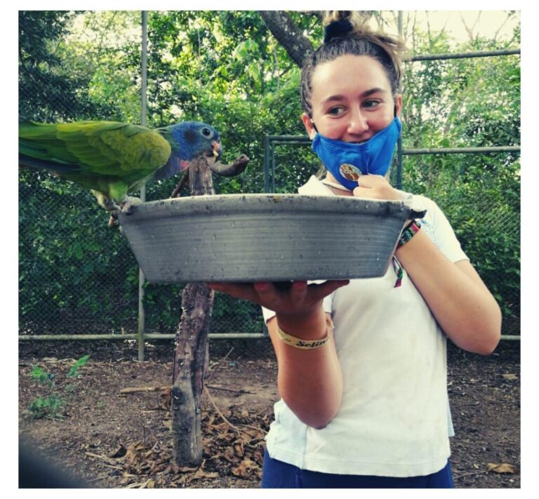 Tierschutz Projekt in Costa Rica
